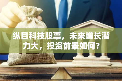 纵目科技股票，未来增长潜力大，投资前景如何？