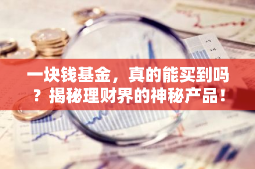 一块钱基金，真的能买到吗？揭秘理财界的神秘产品！