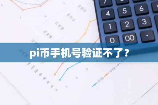 pi币手机号验证不了？-第1张图片-智财锋资讯网