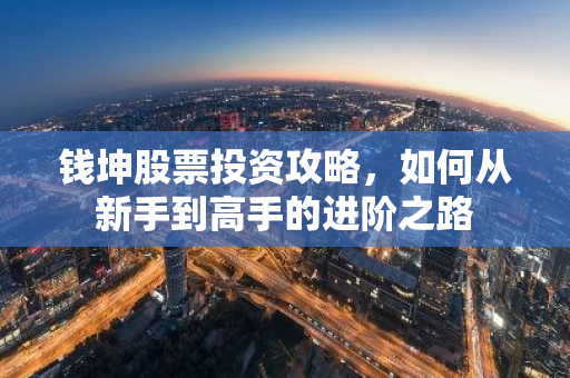 钱坤股票投资攻略，如何从新手到高手的进阶之路