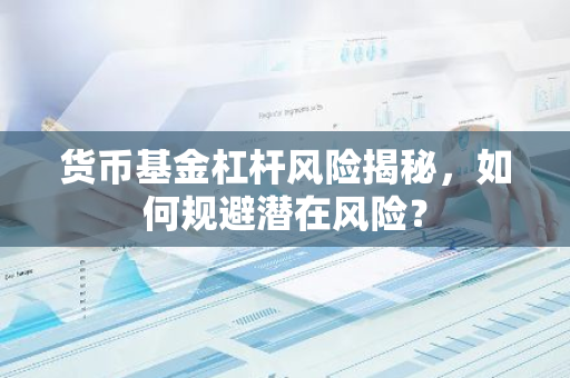 货币基金杠杆风险揭秘，如何规避潜在风险？