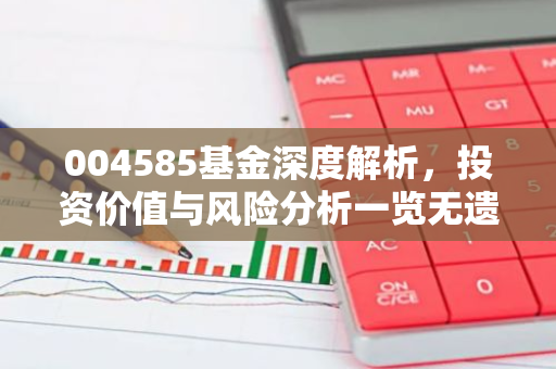 004585基金深度解析，投资价值与风险分析一览无遗