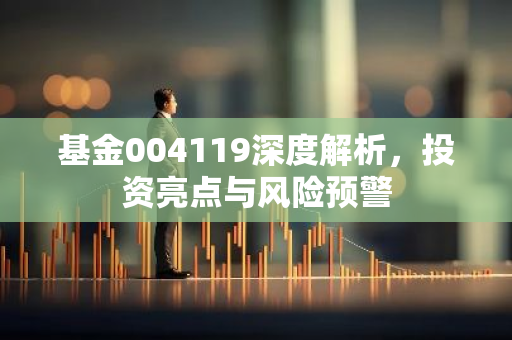 基金004119深度解析，投资亮点与风险预警