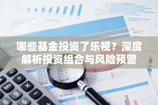 哪些基金投资了乐视？深度解析投资组合与风险预警