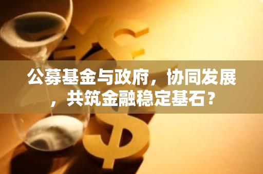 公募基金与政府，协同发展，共筑金融稳定基石？