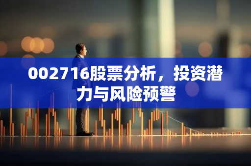 002716股票分析，投资潜力与风险预警