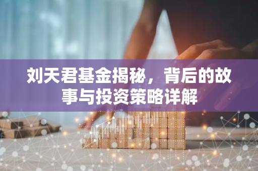 刘天君基金揭秘，背后的故事与投资策略详解