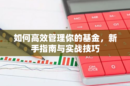 如何高效管理你的基金，新手指南与实战技巧