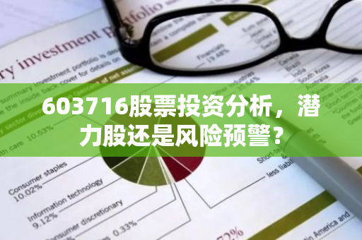 603716股票投资分析，潜力股还是风险预警？
