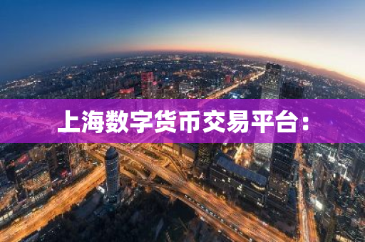 上海数字货币交易平台：