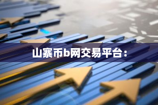 山寨币b网交易平台：