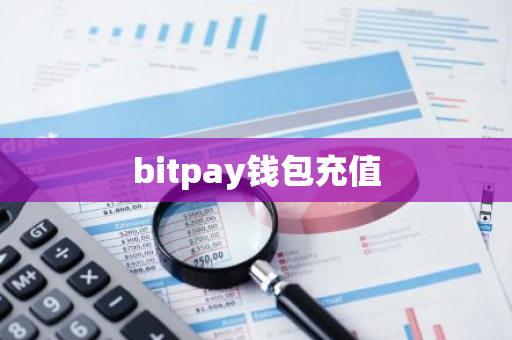 bitpay钱包充值