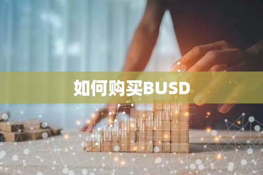 如何购买BUSD-第1张图片-智财锋资讯网