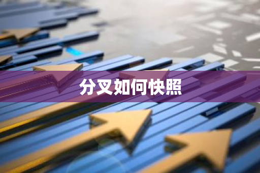 分叉如何快照-第1张图片-智财锋资讯网 分叉如何快照-第1张图片-智财锋资讯网