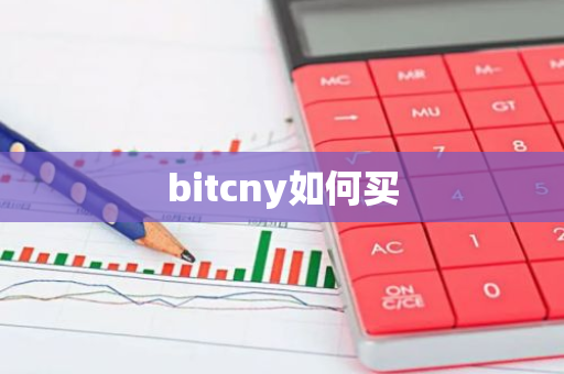 bitcny如何买-第1张图片-智财锋资讯网