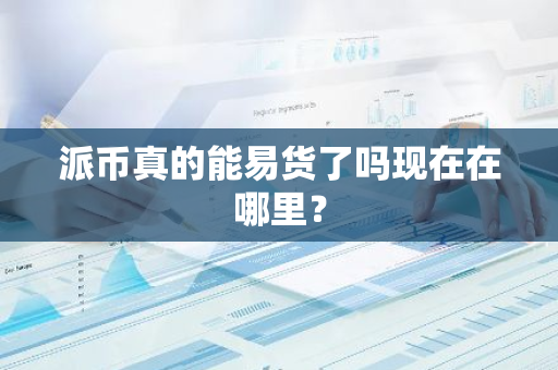 派币真的能易货了吗现在在哪里？-第1张图片-智财锋资讯网