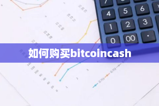 如何购买bitcoincash-第1张图片-智财锋资讯网