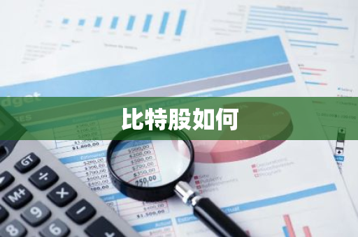 比特股如何-第1张图片-智财锋资讯网