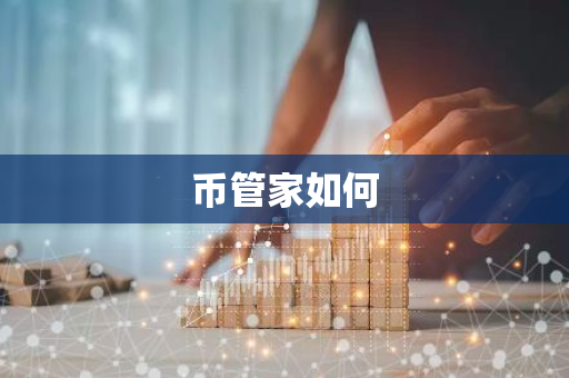 币管家如何-第1张图片-智财锋资讯网