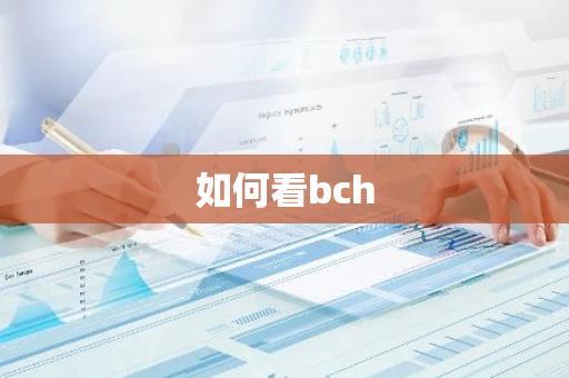 如何看bch-第1张图片-智财锋资讯网