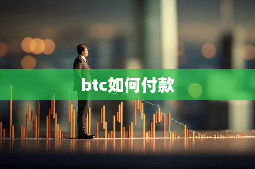 btc如何付款-第1张图片-智财锋资讯网