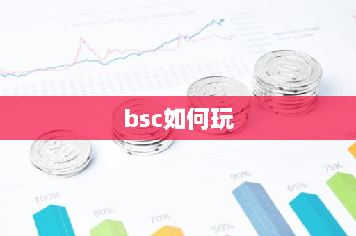 bsc如何玩-第1张图片-智财锋资讯网