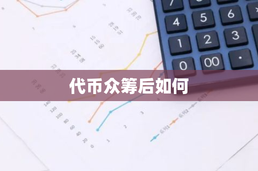 代币众筹后如何