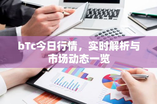 bTc今日行情，实时解析与市场动态一览