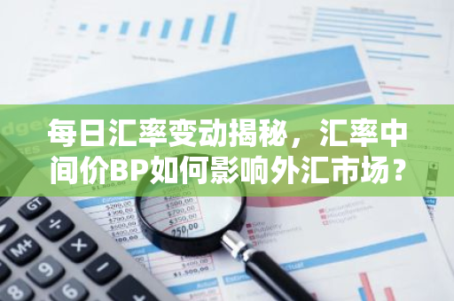 每日汇率变动揭秘，汇率中间价BP如何影响外汇市场？