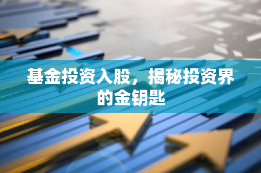 基金投资入股，揭秘投资界的金钥匙