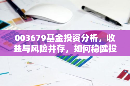 003679基金投资分析，收益与风险并存，如何稳健投资？