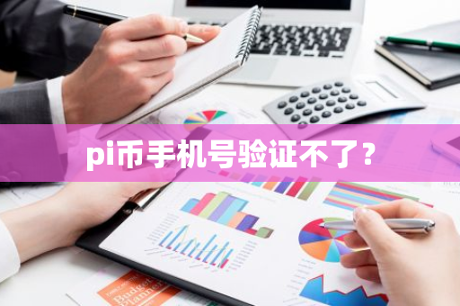 pi币手机号验证不了？-第1张图片-智财锋资讯网