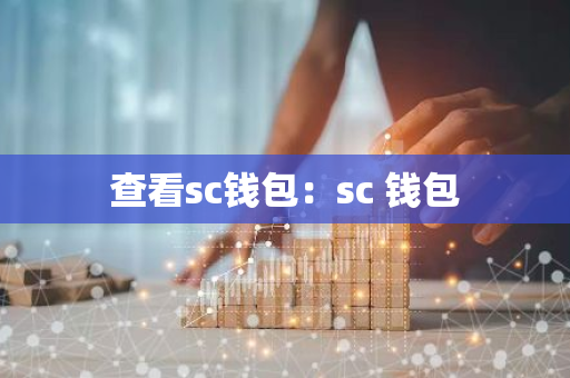 查看sc钱包：sc 钱包
