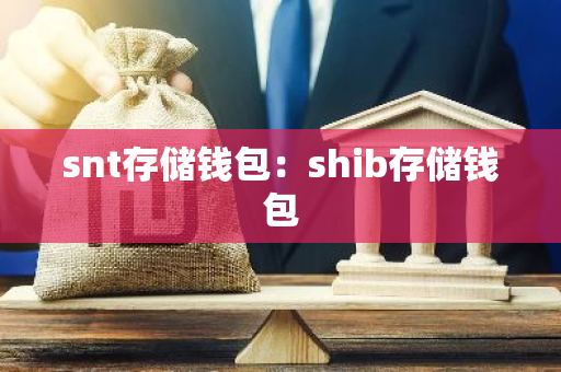 snt存储钱包：shib存储钱包-第1张图片-智财锋资讯网