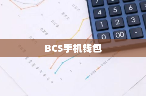 BCS手机钱包-第1张图片-智财锋资讯网