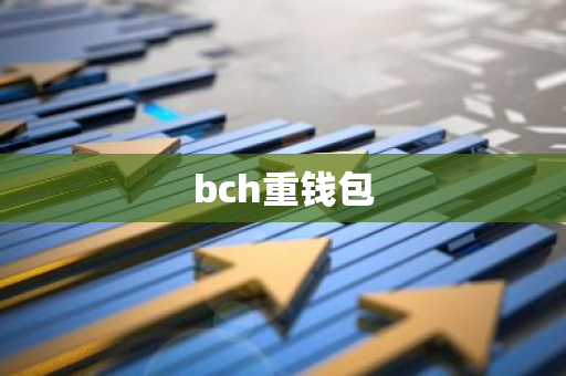 bch重钱包-第1张图片-智财锋资讯网 bch重钱包-第1张图片-智财锋资讯网