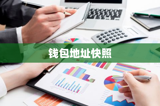 钱包地址快照-第1张图片-智财锋资讯网