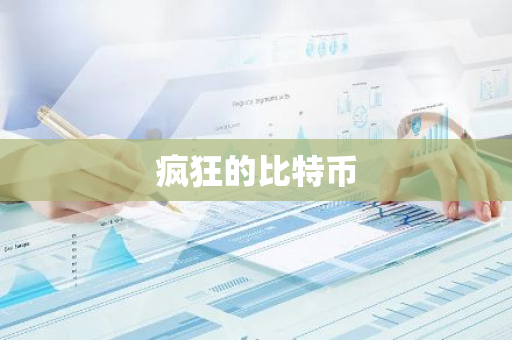 疯狂的比特币-第1张图片-智财锋资讯网