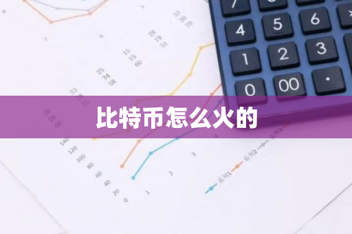 比特币怎么火的-第1张图片-智财锋资讯网 比特币怎么火的-第1张图片-智财锋资讯网