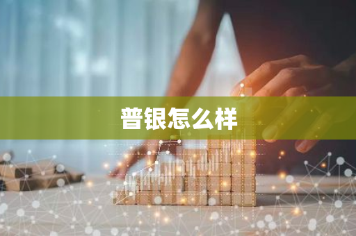 普银怎么样-第1张图片-智财锋资讯网