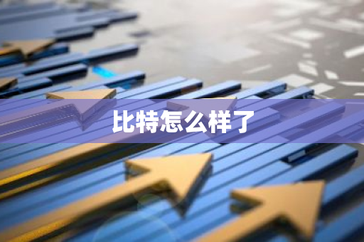 比特怎么样了
