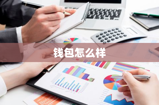 钱包怎么样-第1张图片-智财锋资讯网