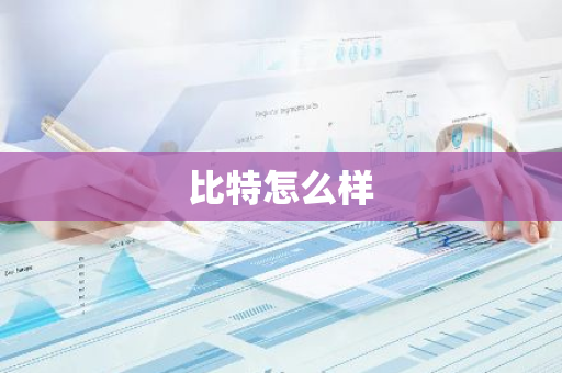 比特怎么样