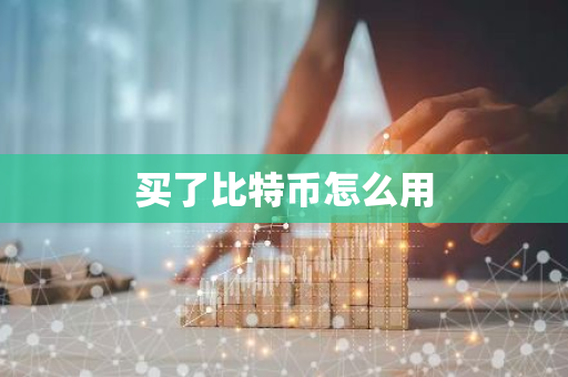 买了比特币怎么用-第1张图片-智财锋资讯网