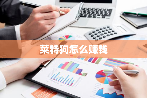 莱特狗怎么赚钱-第1张图片-智财锋资讯网