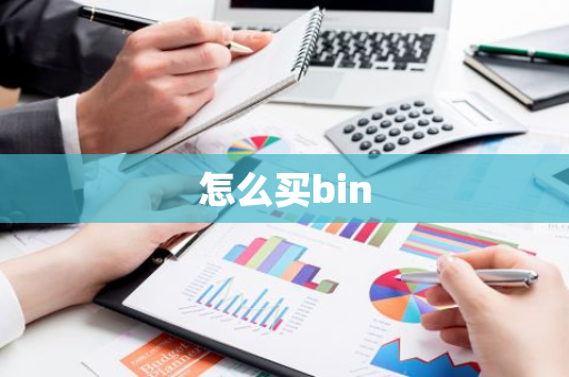 怎么买bin-第1张图片-智财锋资讯网