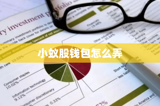 小蚁股钱包怎么弄