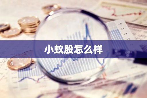 小蚁股怎么样-第1张图片-智财锋资讯网