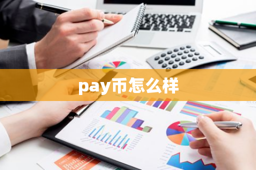 pay币怎么样-第1张图片-智财锋资讯网