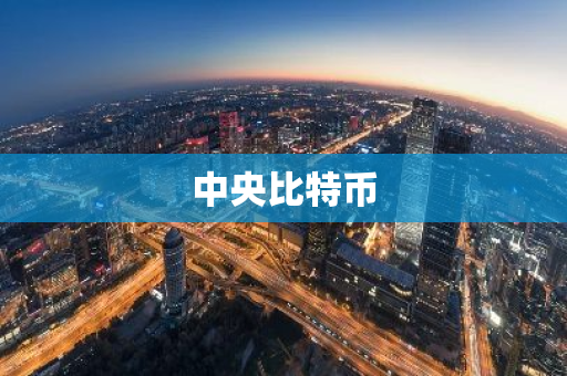 中央比特币